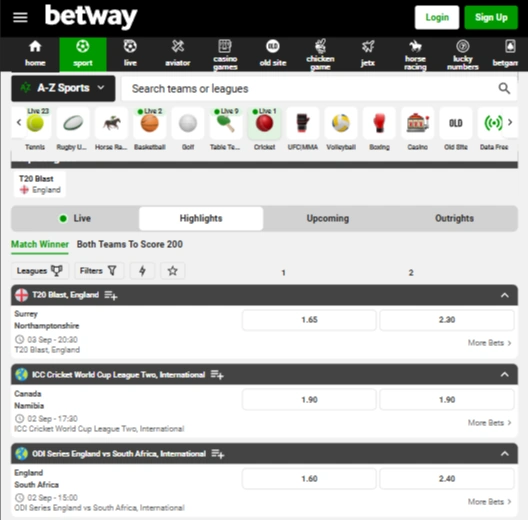 Betway Cricket Screenshot