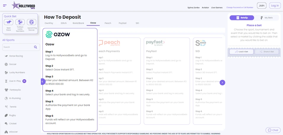 Hollywoodbets Deposit Method Ozow Screenshot