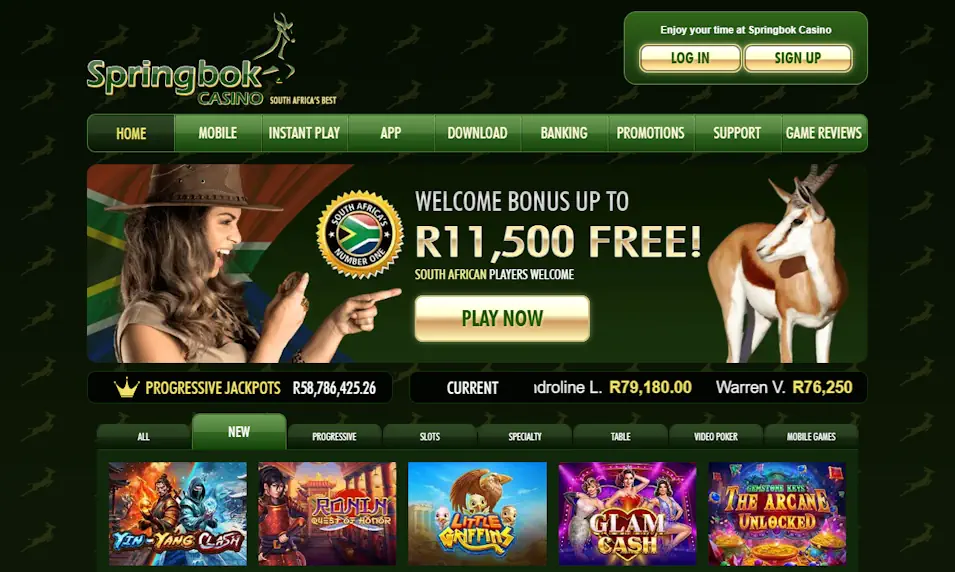 Springbok Homepage Screenshot