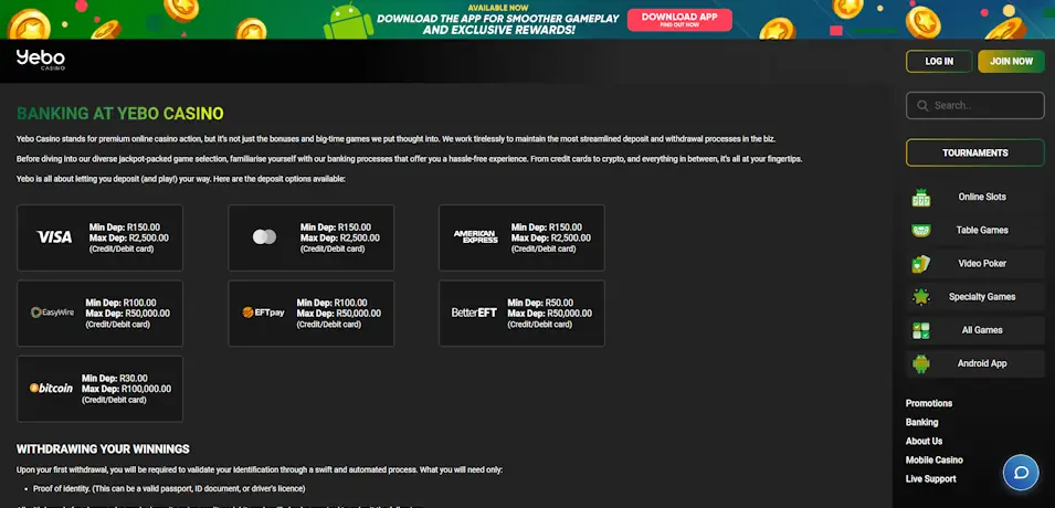 Yebo Casino Deposit and Withdrawal Reality Check Screenshot