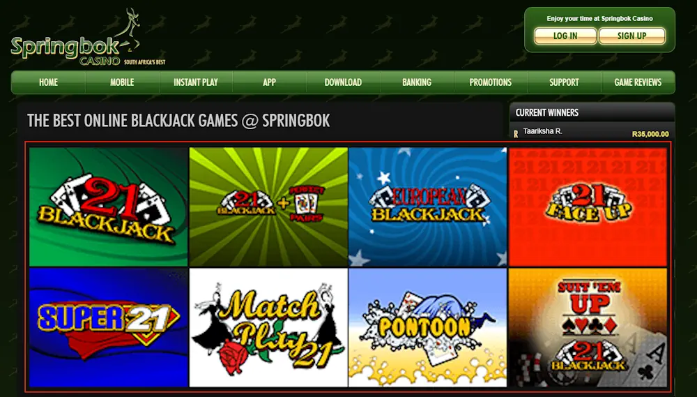 Springbok blackjack Screenshot