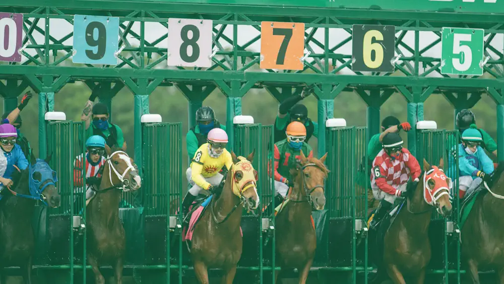 Belmont Stakes Horse-racing Banner