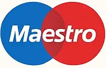 Maestro Logo Banner