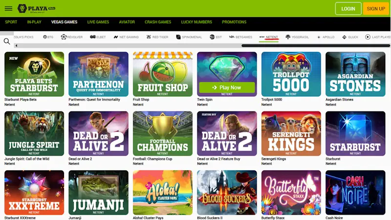 Playabets NetEnt Games Screenshot