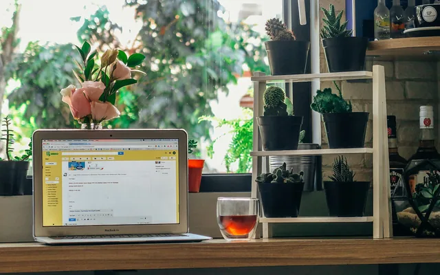 Laptop with a web browser open on a wooden shelf
